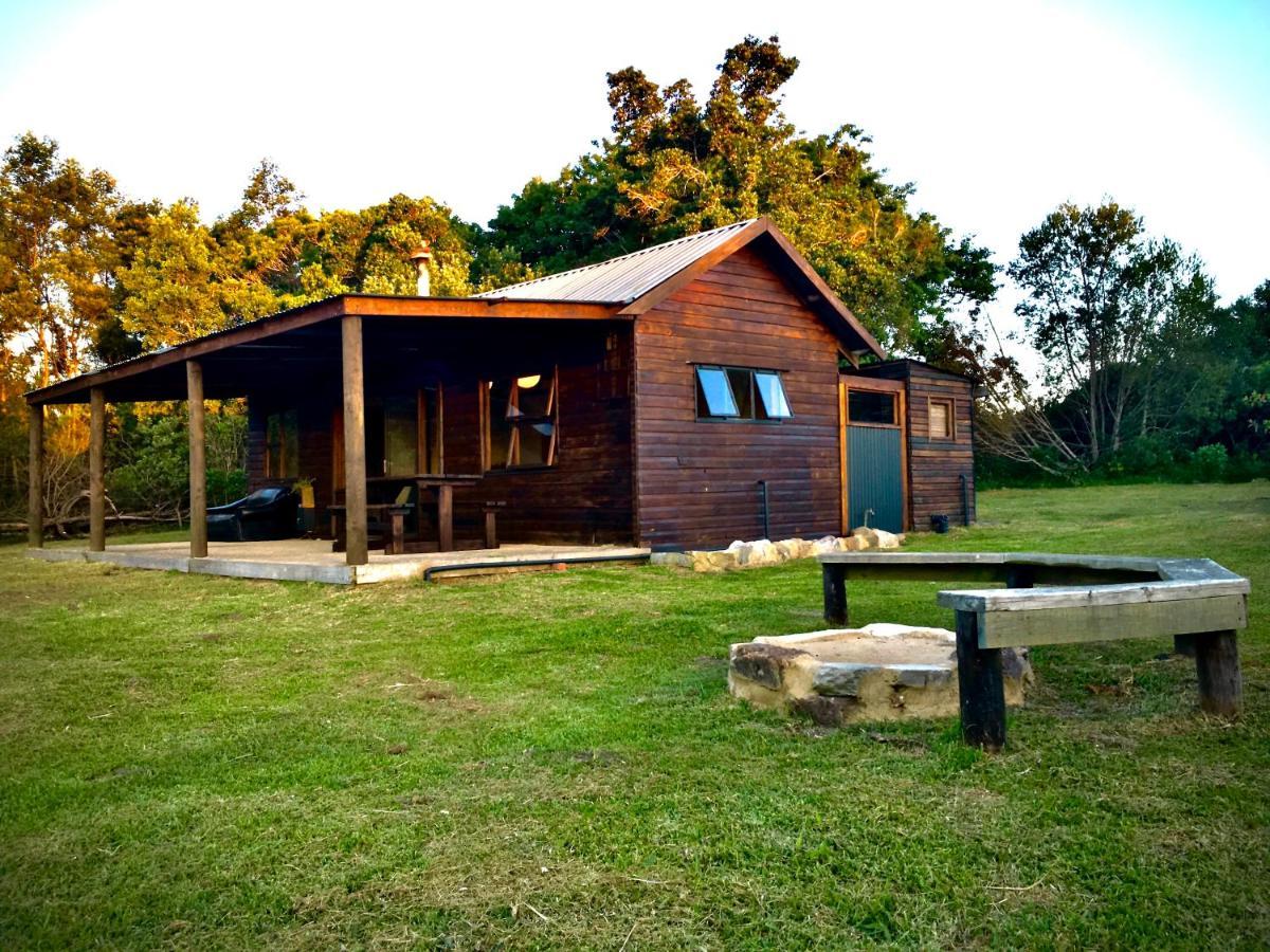 Pura Vida Forest Cabin Witelsbos ภายนอก รูปภาพ