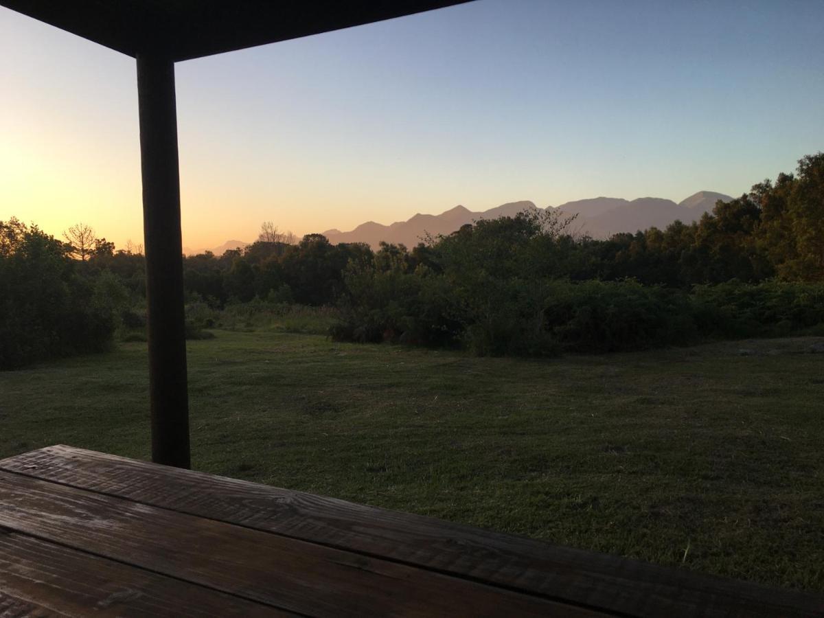 Pura Vida Forest Cabin Witelsbos ภายนอก รูปภาพ